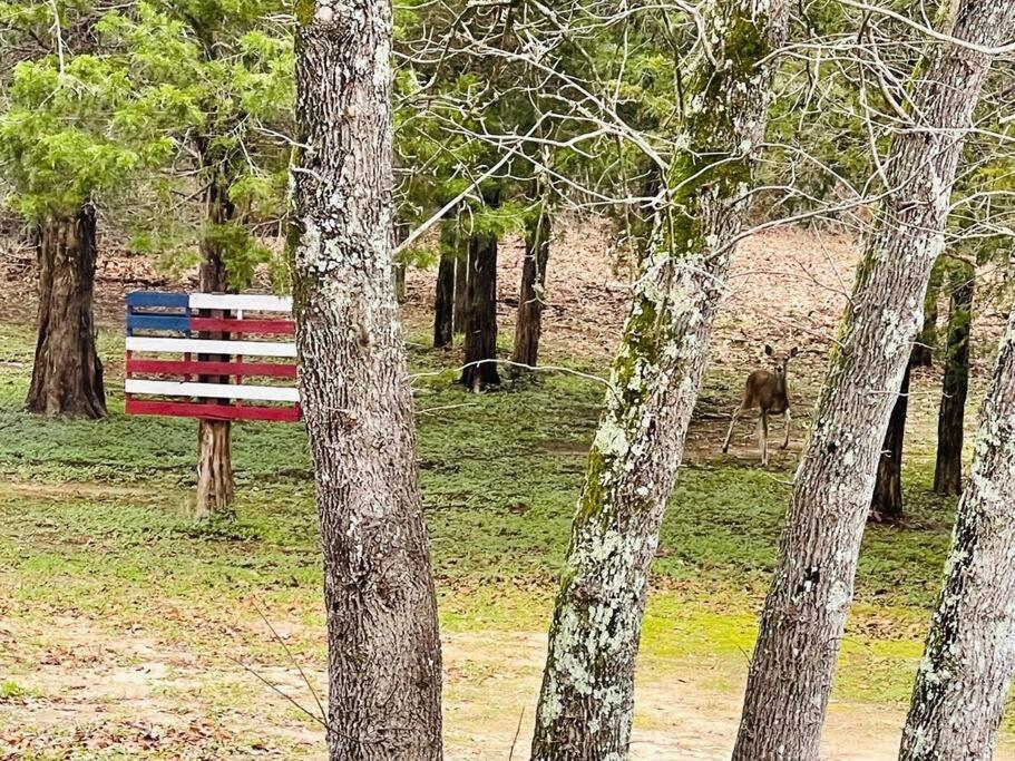 Bastrop Tiny Disc Golf Retreat Βίλα Εξωτερικό φωτογραφία